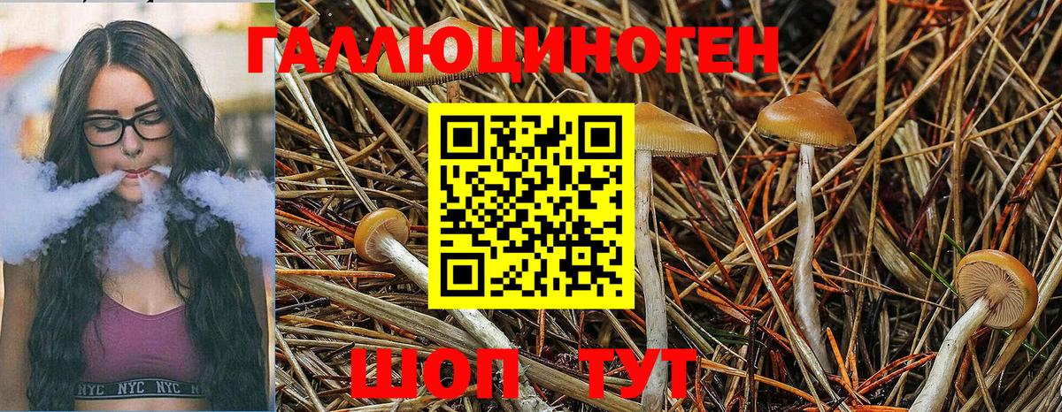 Алексин  Галлюциногенные грибы GOLDEN TEACHER  Галлюциногенные грибы MAGIC MUSHROOMS  Вход с VPN 